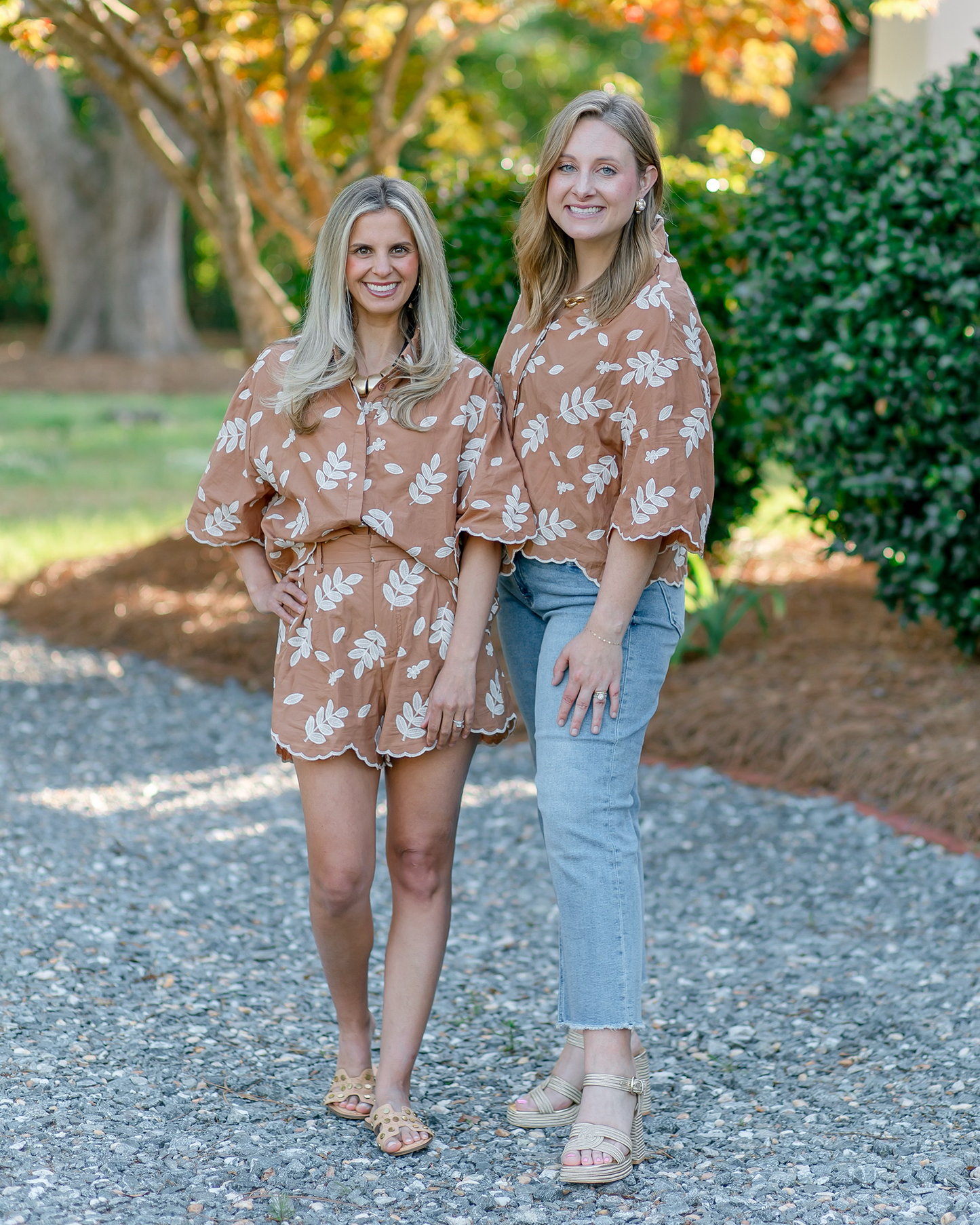 Brown Embroidered Set